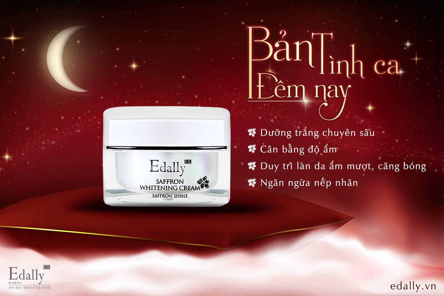 BẢN TÌNH CA ĐÊM NAY